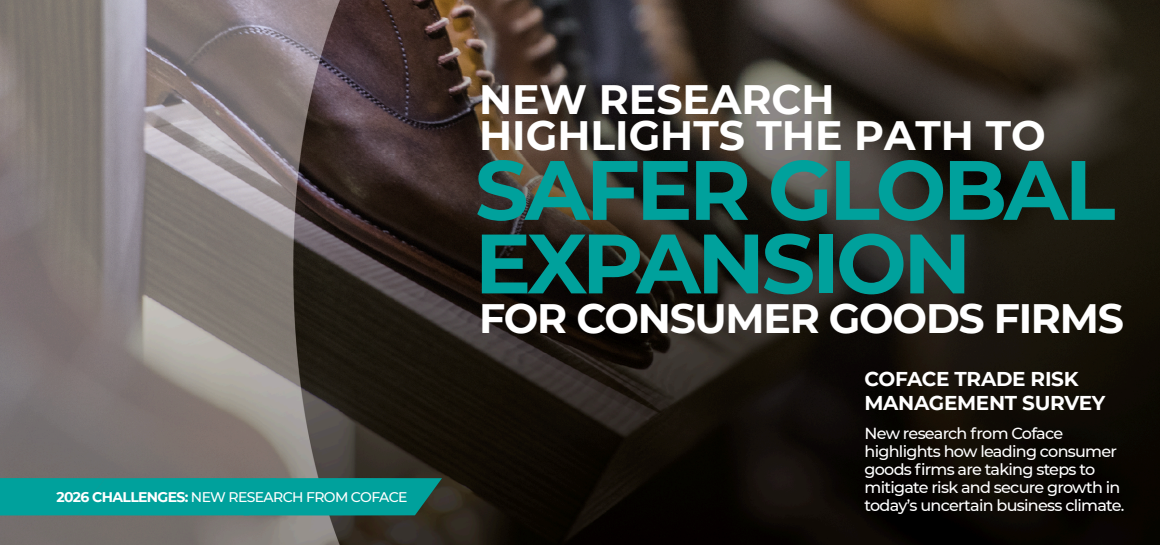 New Research Highlights the Path to Safer Global Expansion
